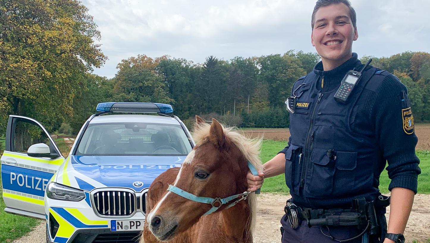 Die Treuchtlinger Polizei fing ein entlaufenes Pony wohlbehalten wieder ein. Polizist und VfL-Basketballer Jonathan Schwarz lächelt hier stolz in die Kamera.