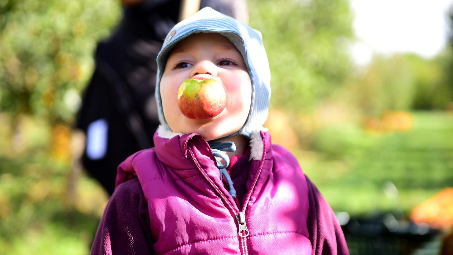 Lecker! Kleine und große Apfelfans sind am kommenden Sonntag im Fürther Stadtpark an der richtigen Stelle.