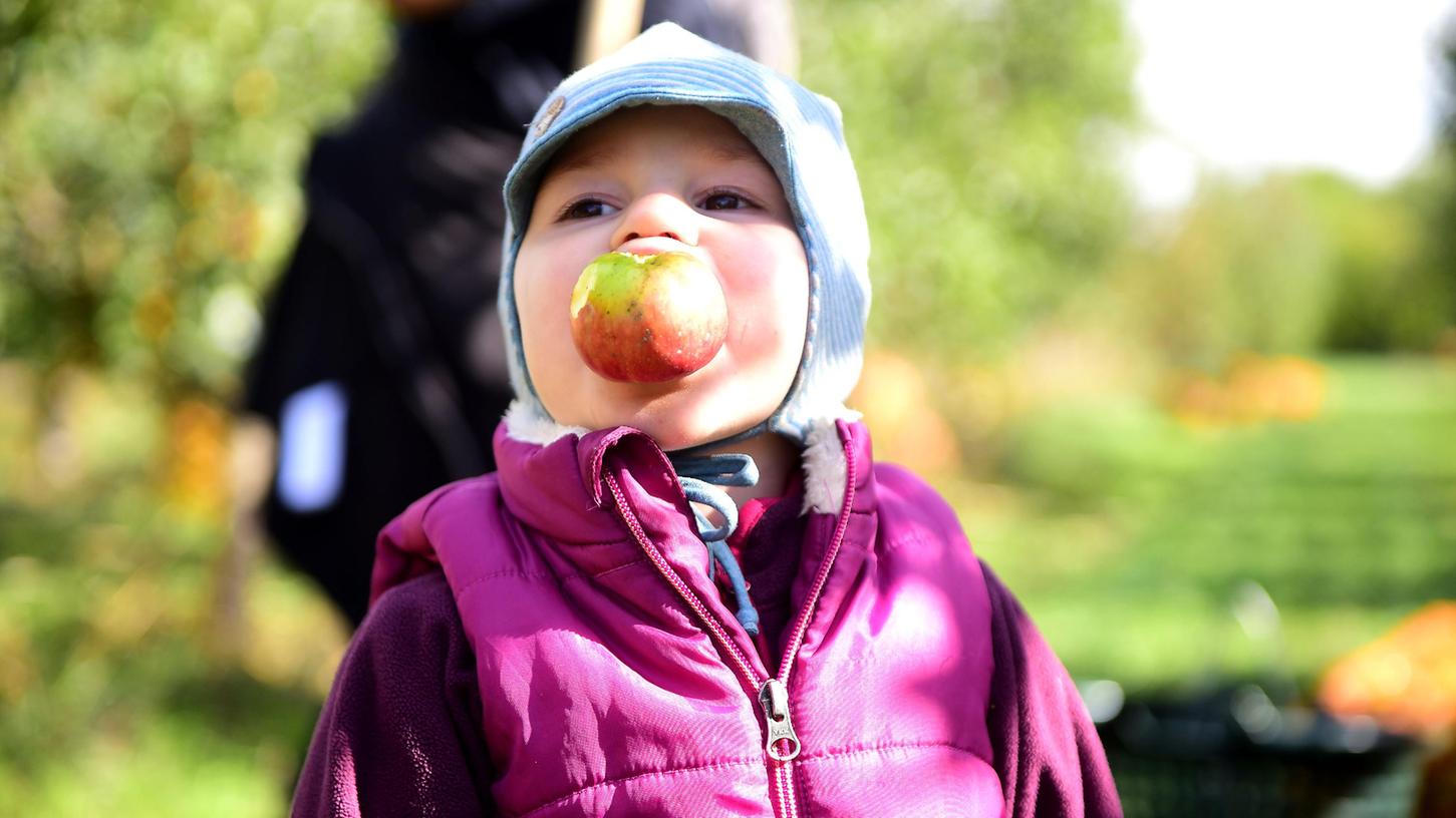 Lecker! Kleine und große Apfelfans sind am kommenden Sonntag im Fürther Stadtpark an der richtigen Stelle. Lecker! Kleine und große Apfelfans sind am kommenden Sonntag im Fürther Stadtpark an der richtigen Stelle.