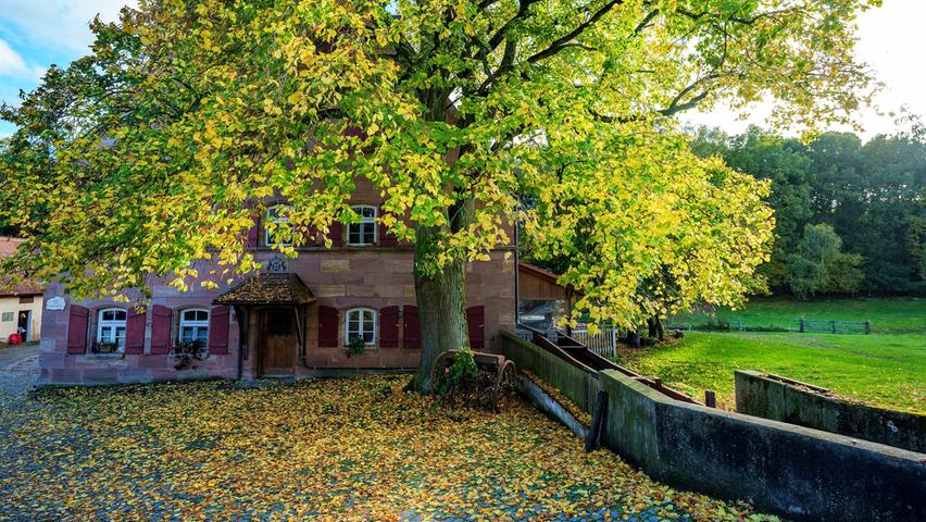 Das alte Bauernhaus in der Weihersmühle bei Rednitzhembach ist bei leichter werdenden Blätterwerk wieder besser zu sehen.  