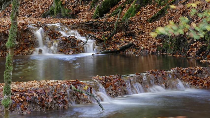 Treppen aus Wasser und Blättern im Kaisinger Tal bei Greding.