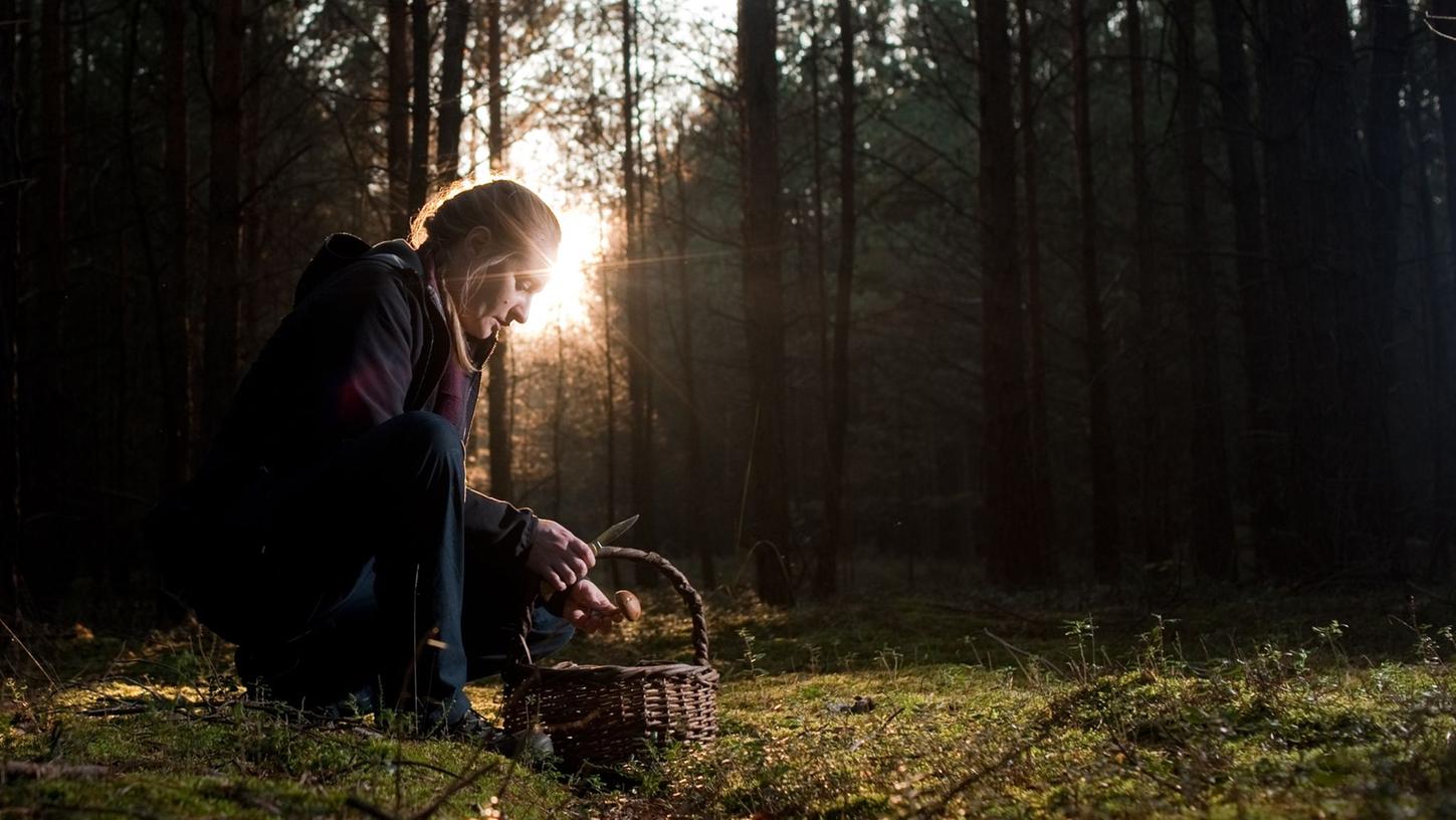 Damit keine giftigen Pilze ins Körbchen wandern, muss man die Details seines Fundes genau in den Blick nehmen.