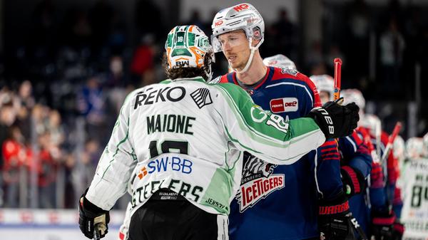 Nuernberg Ice Tigers - Bietigheim Steelers