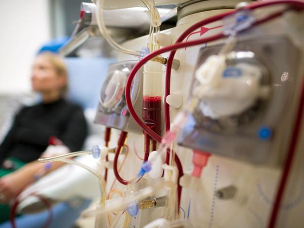 In Deutschland ist die Aussicht auf eine Transplantation schlecht. Bis dahin bleibt bei Nierenerkrankungen für manche Betroffene nur die Dialyse. (Symbolbild)