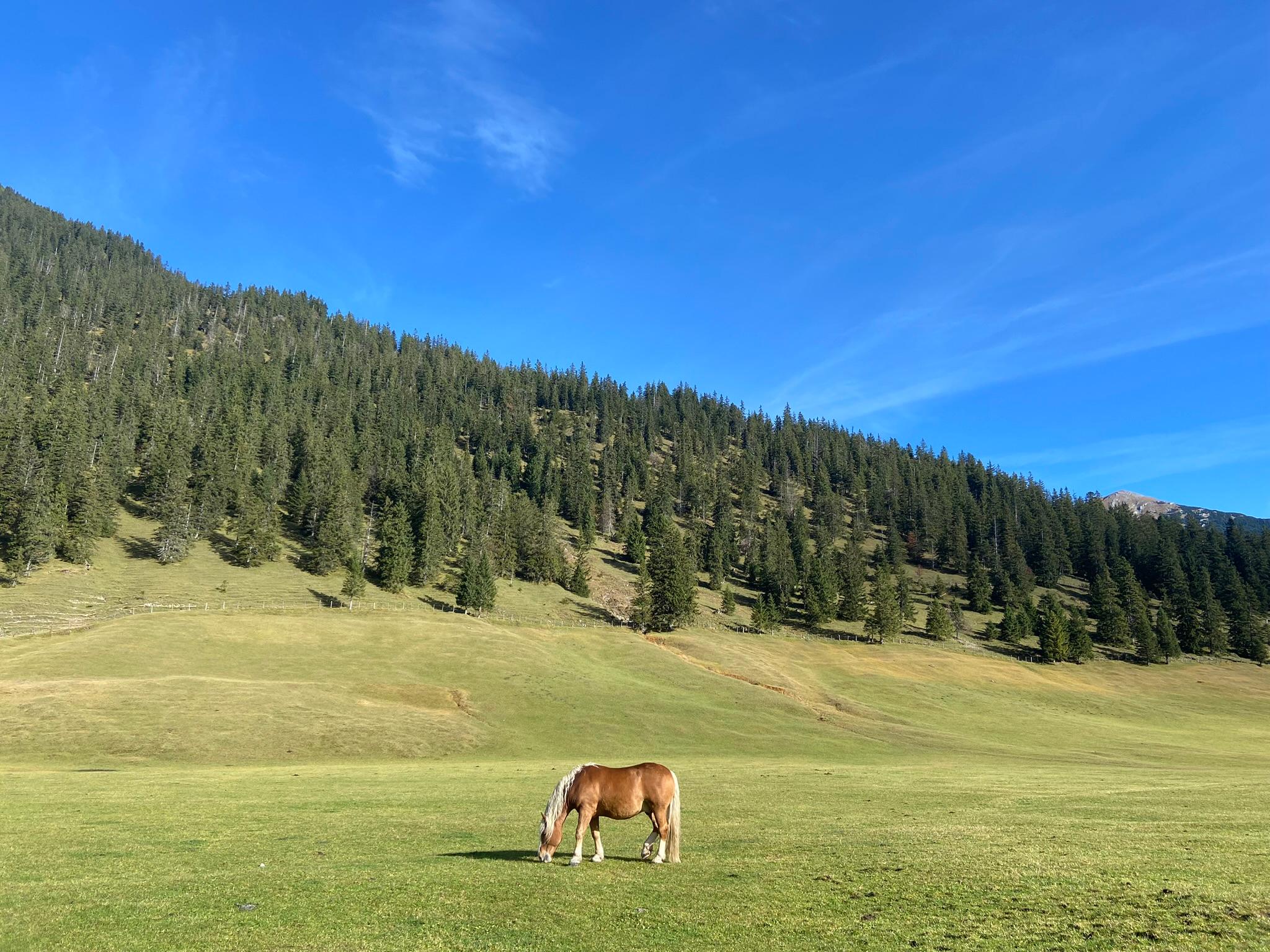 Auf der Tour zum Krottenkopf ist gute Trittsicherheit, Schwindelfreiheit und ein hohes Maß an Kondition nötig. In den Sommermonaten kann man auf der Esterbergalm und der Farchanter Alm einkehren, auch die Weilheimer Hütte bietet Verpflegungen.