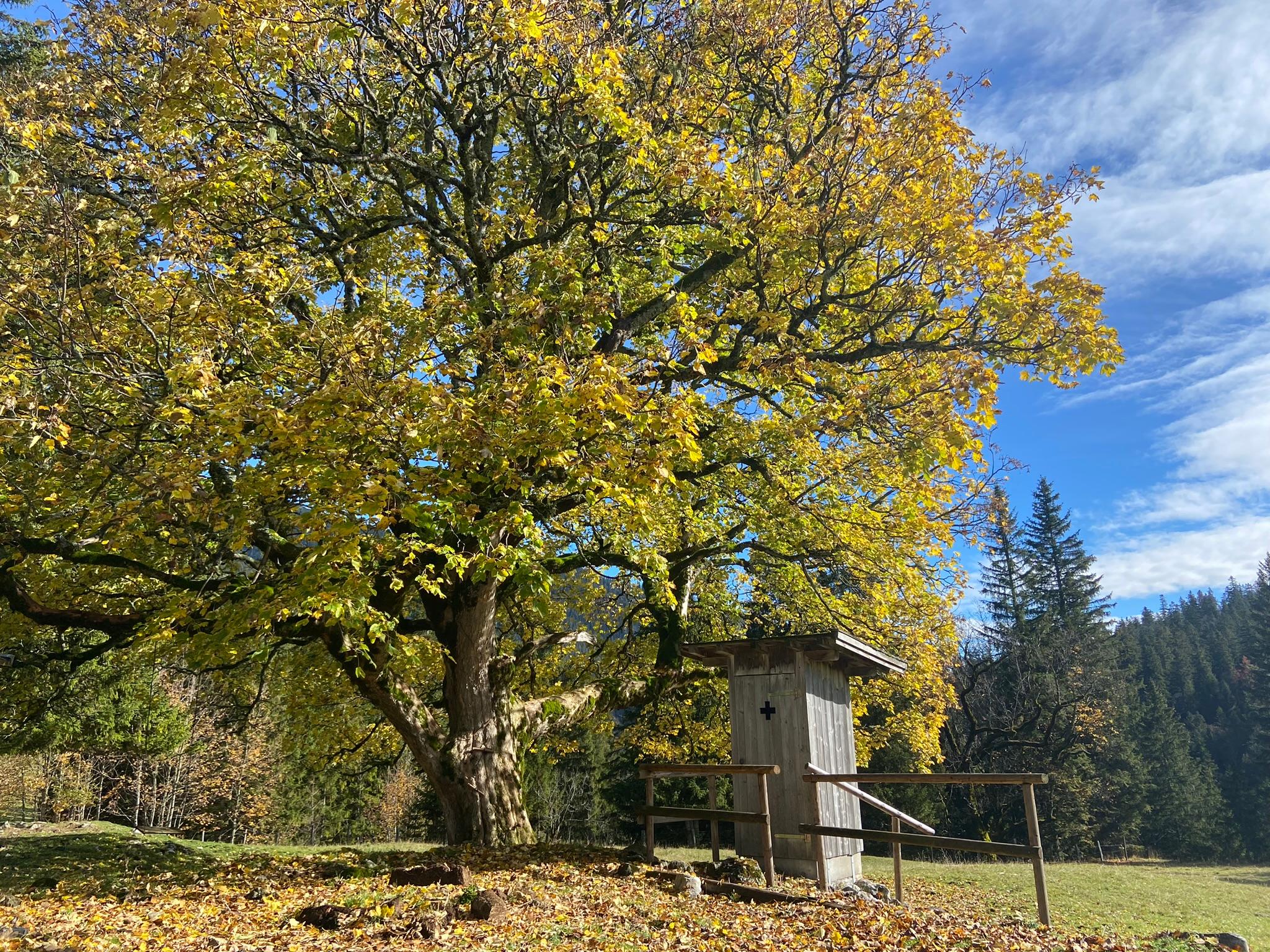 Ein Klohäuschen mit Aussicht auf dem Weg zum Krottenkopf. 