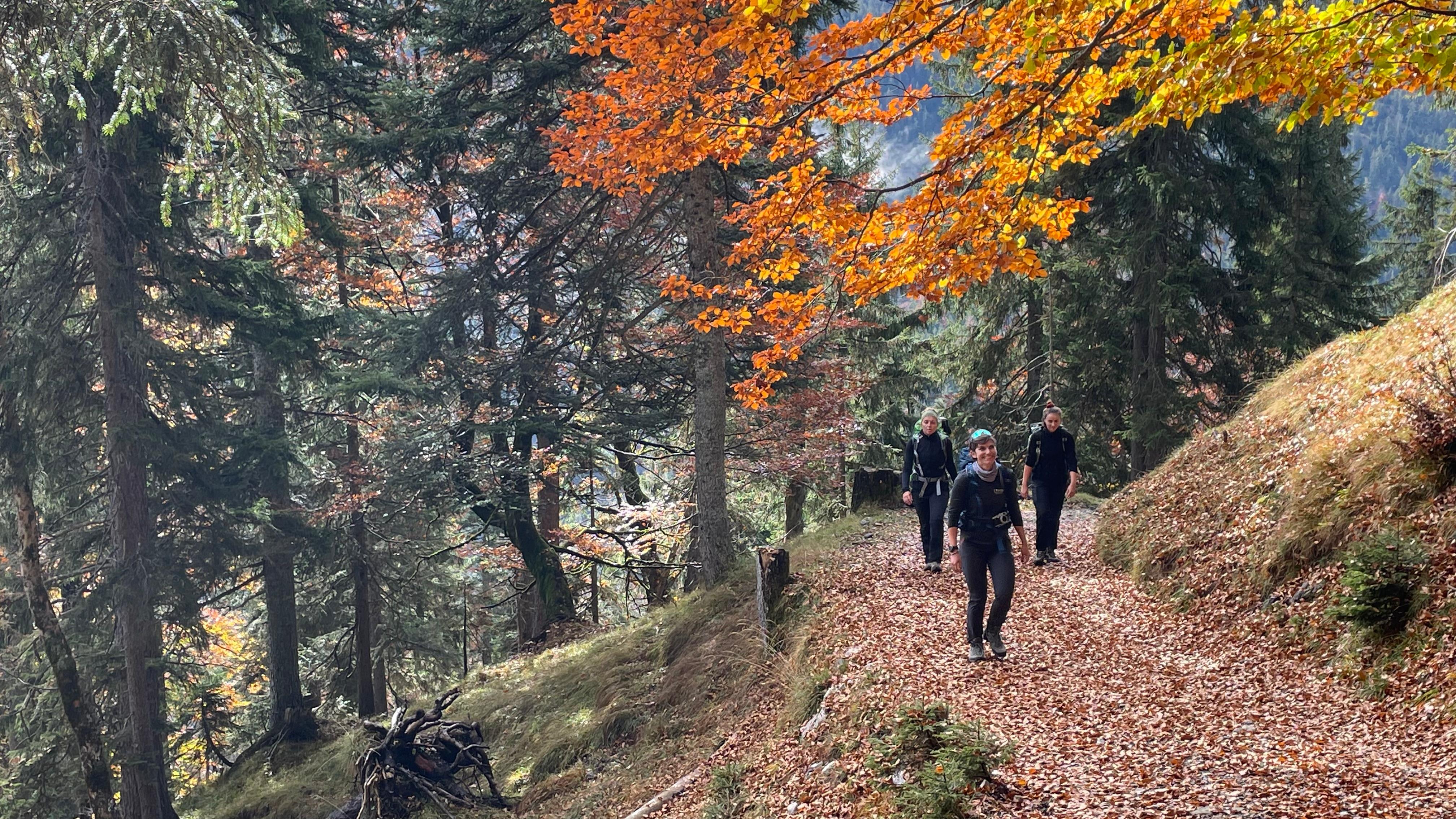 Direkt vor der Haustüre des Explorer Hotels in Farchant geht es los zum Krottenkopf im Estergebirge. Mit 20 Kilometern und einem Anstieg von knapp 1500 Höhenmetern ist es die längste und anspruchsvollste Wanderung der "Geh 7".  Weitere Informationen zur Tour finden Sie hier. Die Reisereportage zu dieser Bildergalerie lesen Sie hier. 