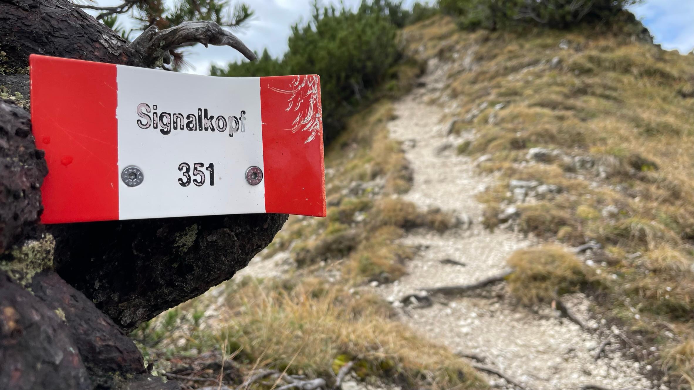 Durch lichte Wälder und später über freie Flächen geht es stetig bergauf zum Seinskopf. Von dort ist der Signalkopf nicht mehr weit. 