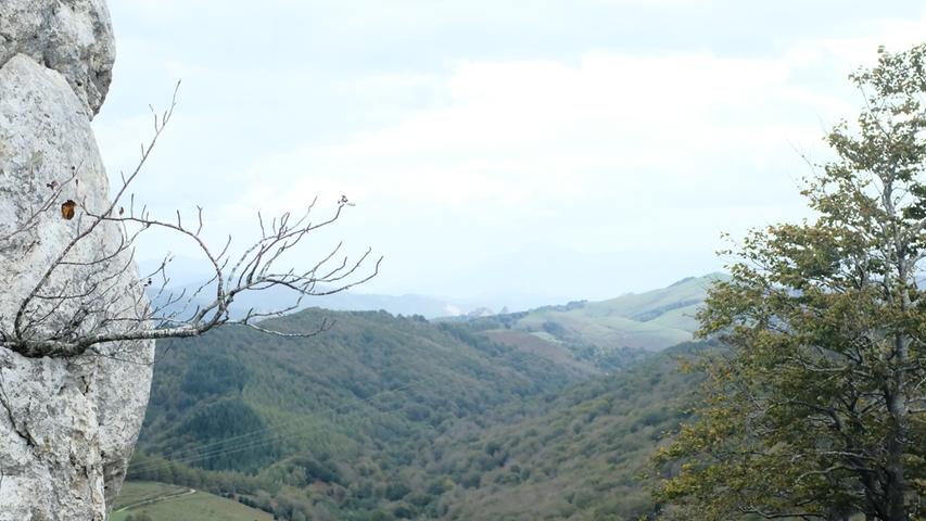 Die Etappe führt durch den Naturpark von Aizkorri-Aratz. Im Kalksteingebirge mit seinen unendlich weiten Buchenwäldern liegt auch der höchste Berg des Baskenlandes, der Aixturi mit 1551 Metern. Die spannende Reisereportage zu dieser Bildergalerie lesen Sie unter www.nn.de/leben/reisen