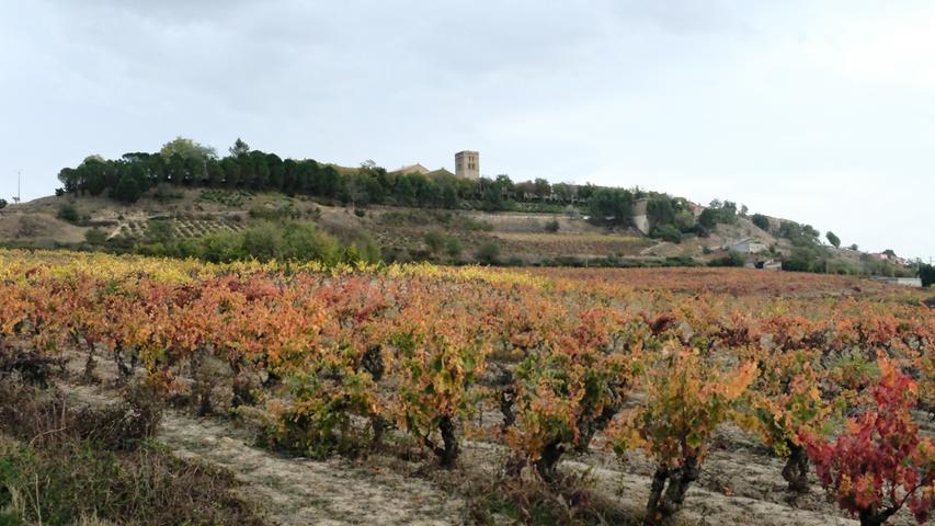 Wein-Fans werden in der Region Rioja Alavesa glücklich. Weinberge so weit das Auge reicht erstrecken sich zwischen dem Ebro und der Sierra de Cantabria und präsentieren sich, je nach Jahreszeit, in einem farbenfrohen Gewand.
