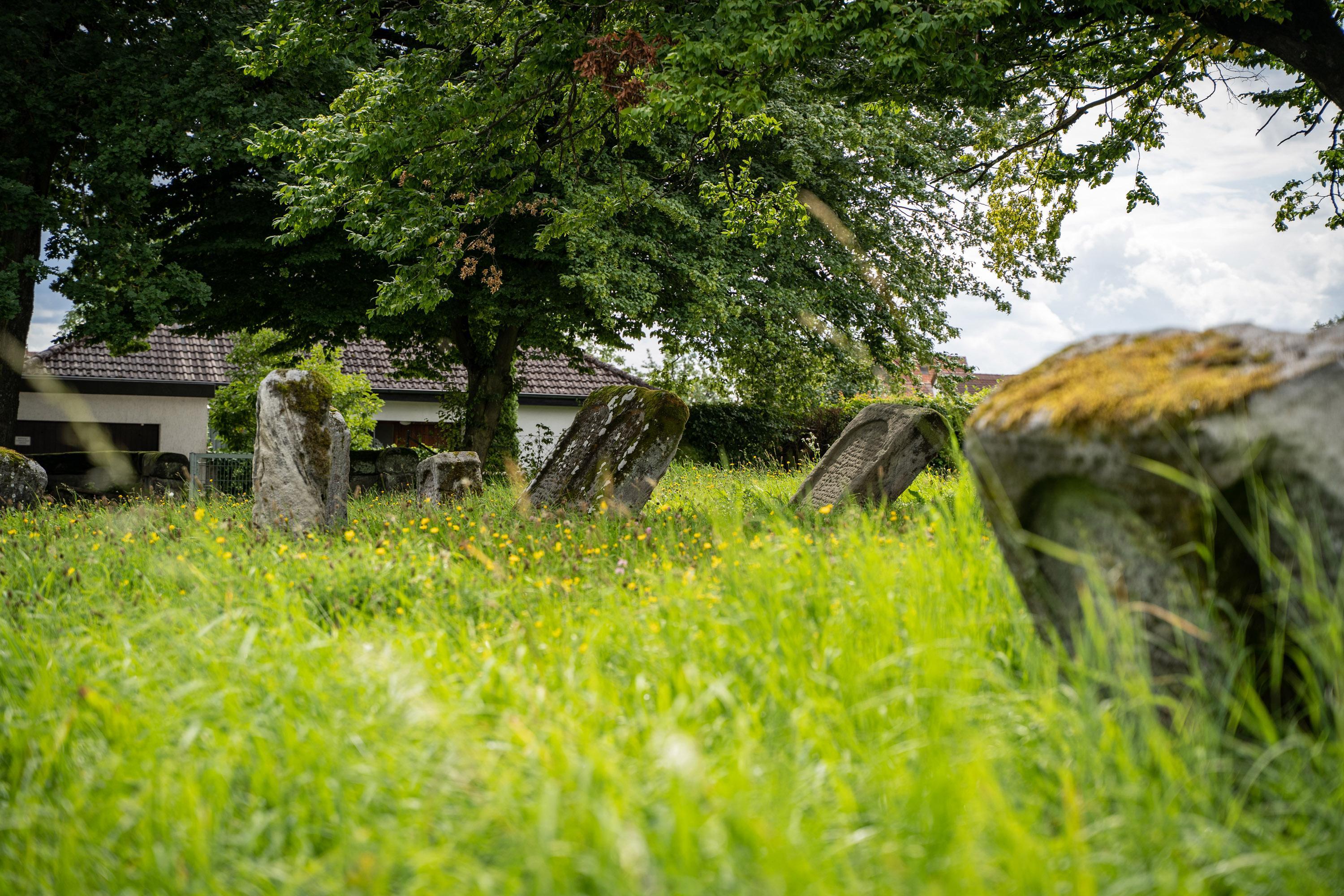 Judenhass auch in Bayern auf dem Vormarsch: Ludwig Spaenle hält dagegen