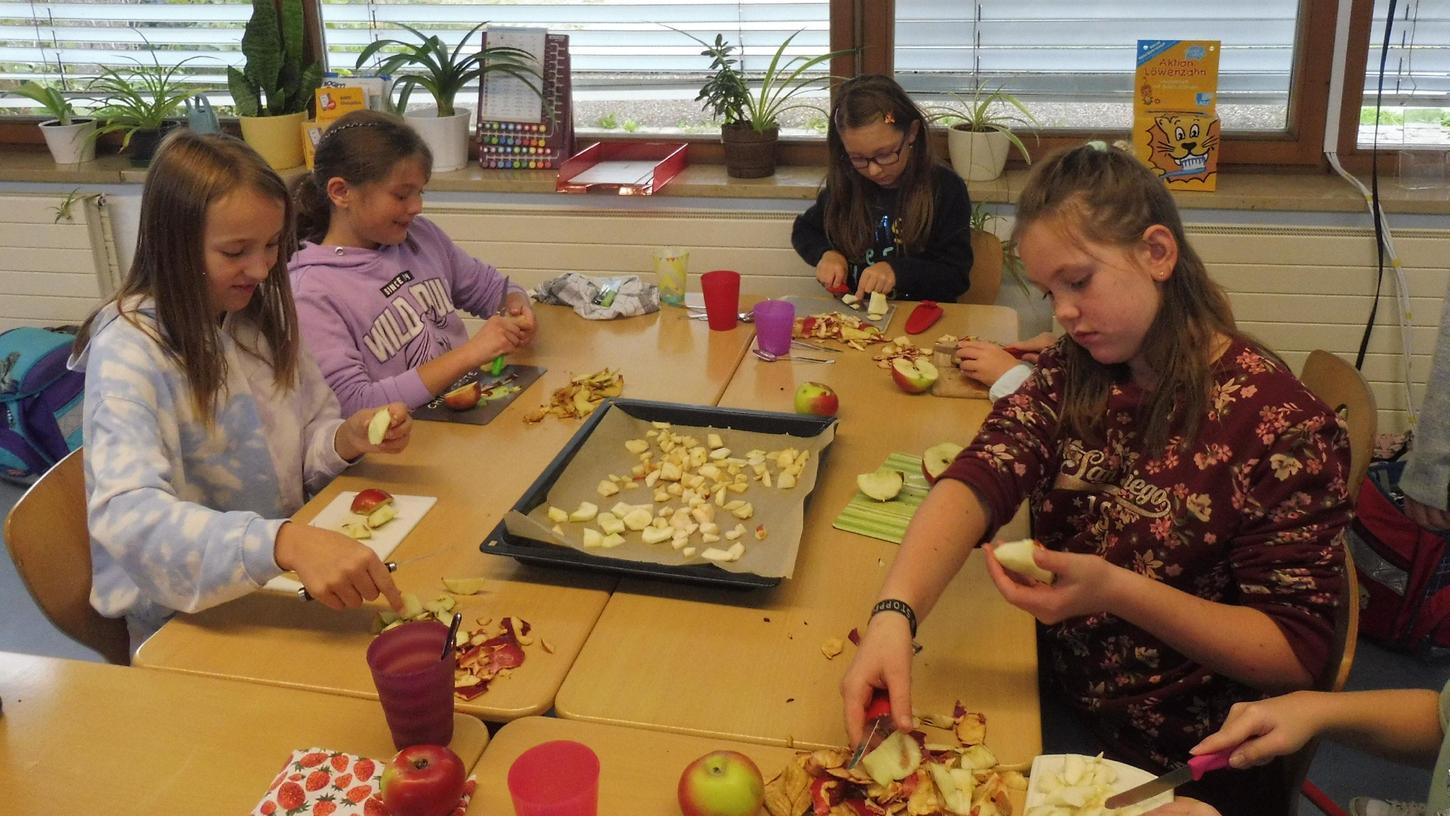 Beim Apfelprojekttag in der Astrid-Lindgren-Grundschule in Gnotzheim verarbeiteten die Kinder die selbst geernteten Äpfel zu leckeren Produkten.