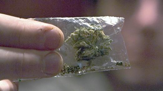 Ein 21-jähriger Pegnitzer handelte mit Marihuana. Nun musste er sich vor Gericht verantworten. (Symbolbild)
Ein 21-jähriger Pegnitzer handelte mit Marihuana. Nun musste er sich vor Gericht verantworten. (Symbolbild)