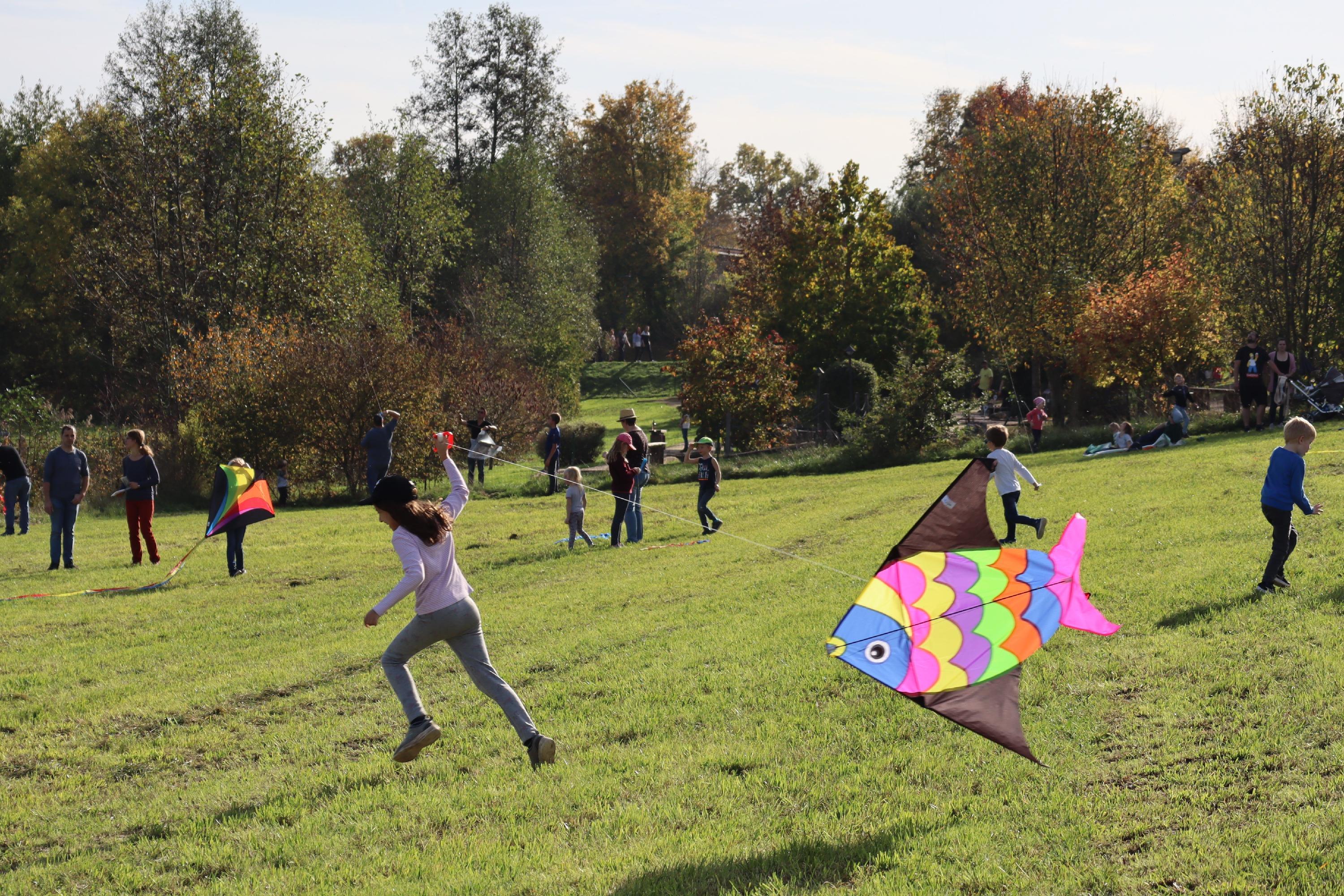 Wer ordentlich Gas gegeben hat, konnte auch ohne viel Wind seinen Drachen steigen lassen.