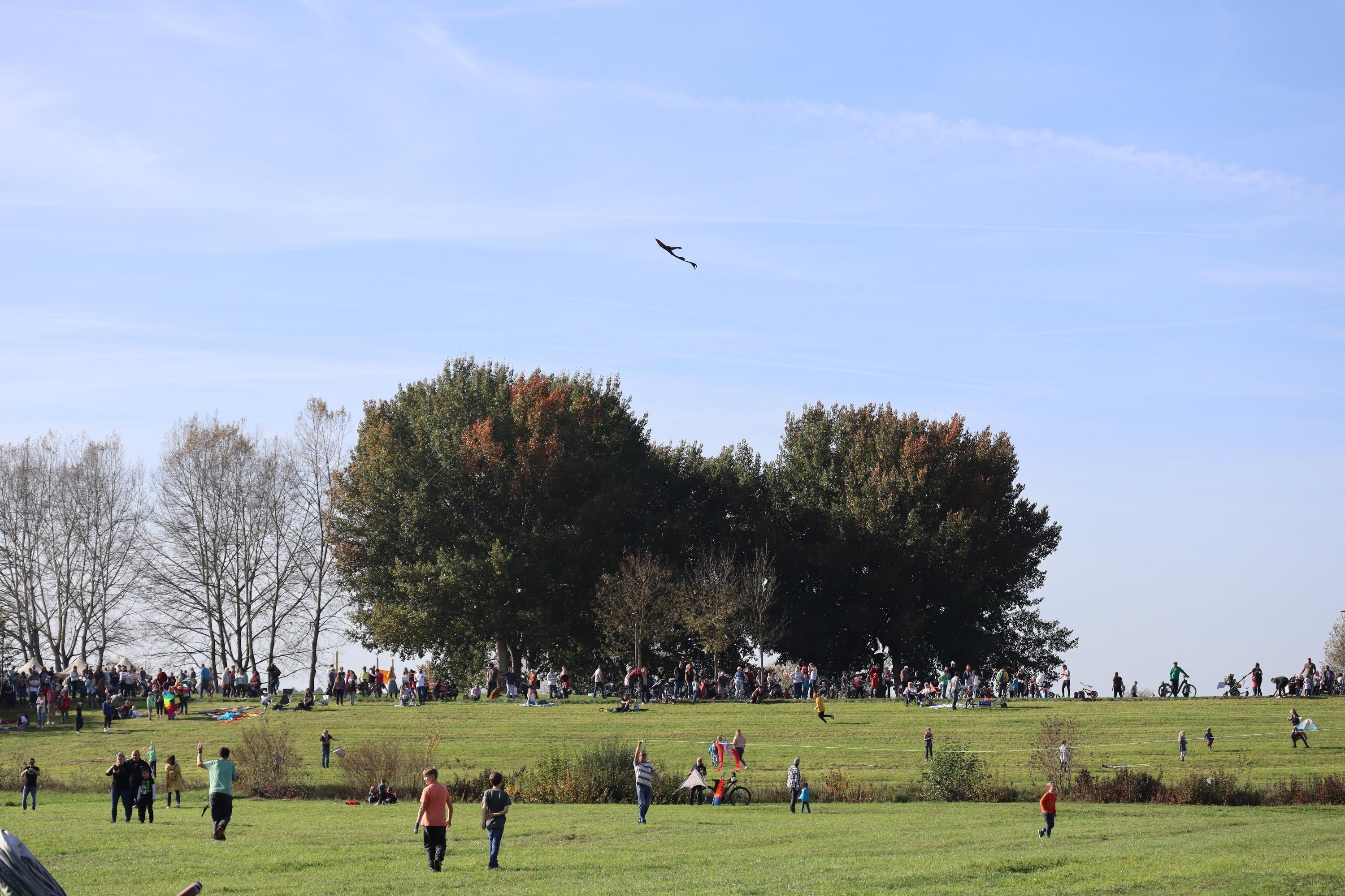 Groß und Klein fanden sich am Sonntag zum Drachenfest im Seezentrum Schlungenhof ein.