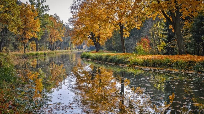 Herbstliche Farben am Alten Kanal zwischen Berg und Neumarkt. Mehr Leserfotos und Leserbriefe finden Sie hier.