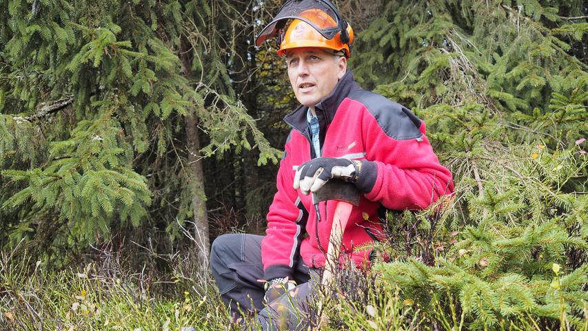 Förster Johannes von Stemm führt immer wieder Gruppen von Freiwilligen in den Wald , um den Lebensraum für das Auerhuhn zu pflegen. Dazu gehört es, kleinere Bäume mit Axt und Säge zu fällen. 