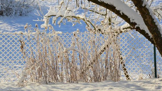 So bekommt das Paradies vor der Haustür Struktur: Nur wenn wir Stauden stehen lassen, erwartet uns im Winter ein interessanter Garten.   