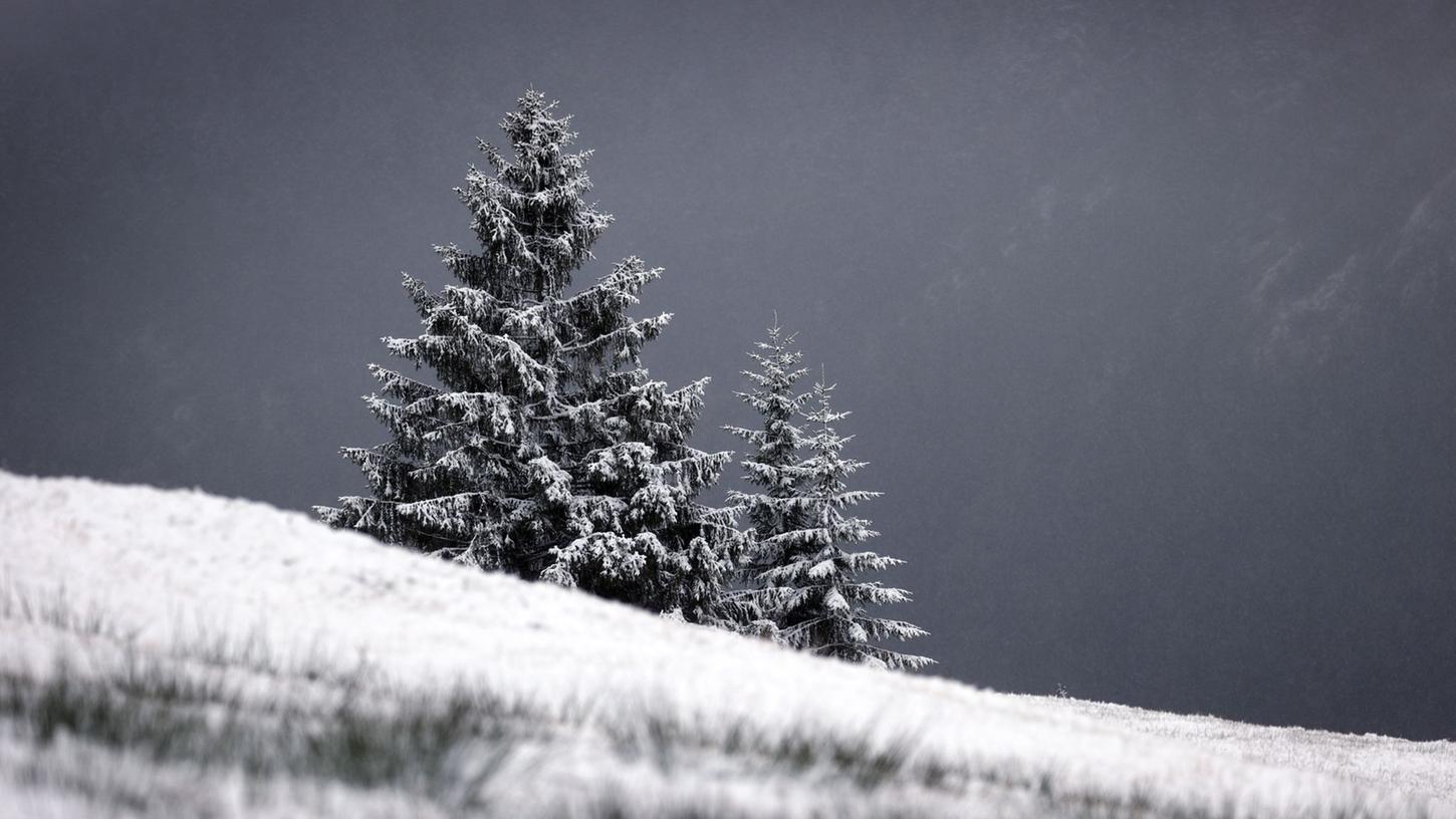 Am Wochenende wird in Franken und in der Oberpfalz der erste Schnee erwartet. (Symbolbild)