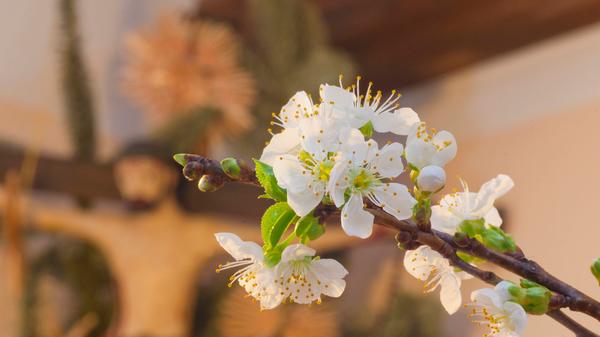 imago images 100663846