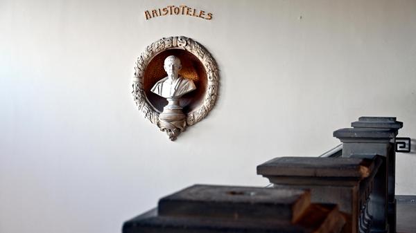 Die 1896/97 errichtete Neue Anatomie repräsentiert in Anlage und Gestaltung am meisten den um 1900 bei den Institutsbauten im Erlanger Universitätsviertel um den Schlossgarten verbreiteten Typus eines Palasts der Wissenschaften.