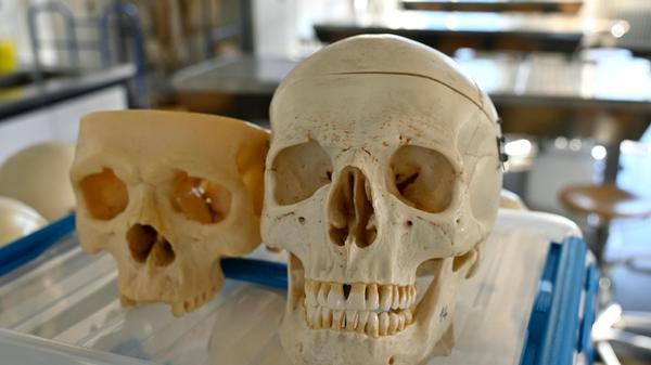 1920 besaß das Gebäude je einen Hör-, Präparier- und Mikroskopiersaal, fünf Laboratorien für ca. 250 Studierende, eine vollständige röntgenologische Einrichtung und die anatomische, embryologische und anthropologische Sammlung.