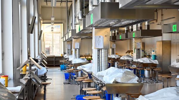 Hier kommen Formalin beziehungsweise Formaldehyd zum Einsatz, also pozentiell krebserregende Stoffe, die besondere Vorsichtsmaßnahmen nötig machen. Nach der Begehung mit der Landesunfallkasse erfolgte eine "Notsanierung mittels externem Lüftungsgerät".