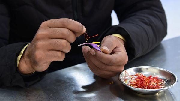 imago images 171344499