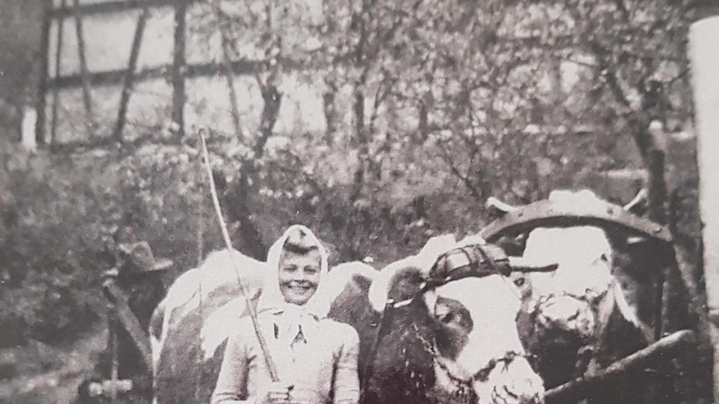 Arberg 1944: Charlotte Knobloch mit ihren Kühen.

 
