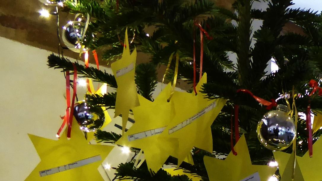 Ab 1. Dezember steht der „Wunsch-Sterne-Baum“ wieder in der Ehrenhalle des Neustädter Rathauses. Noch bis 25. November können Wünsche der Kinder bis 14 Jahren aus einkommensschwachen Familien beim Freiwilligenzentrum angemeldet werden.
