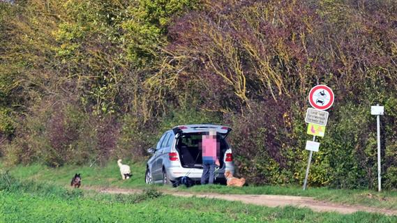 Erlangen: Warum in Hüttendorf doch keine Anleinpflicht für freilaufende Hunde kommt