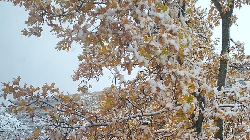 Gerade war es noch Herbst, der mit seinen bunten Farben leuchtet. Jetzt wird bald wieder alles in ein einheitliches Weiß getaucht.