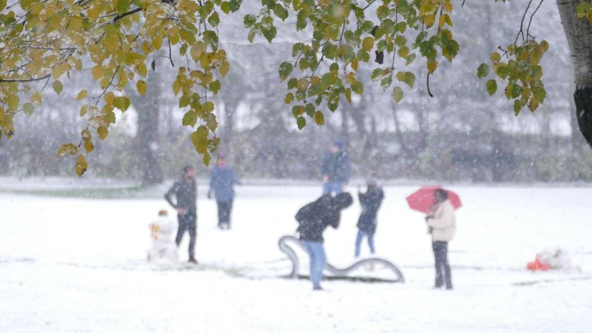 Erster Schnee in Fürth, Stadtpark