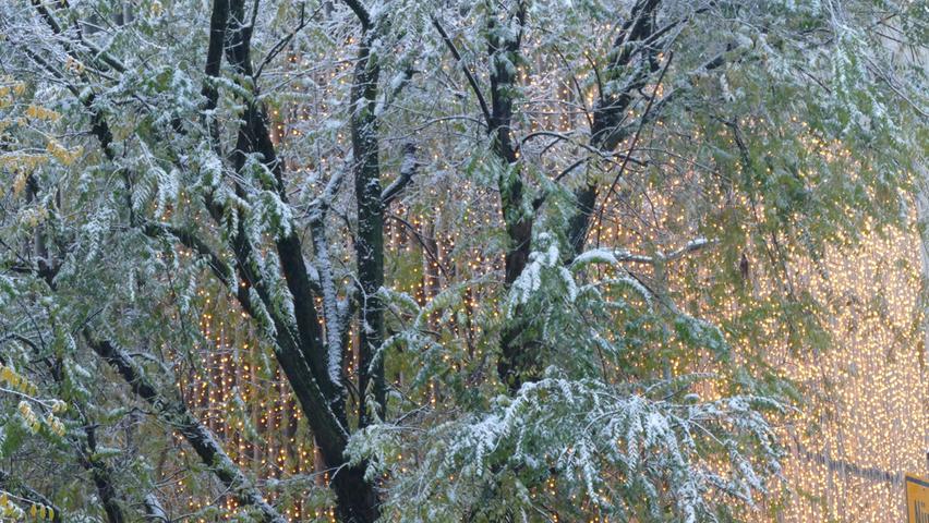  Erster Schnee in Fürth, Stadtpark