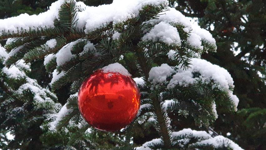 Weihnachtsbaum auf der Fürther Freiheit mit Schnee