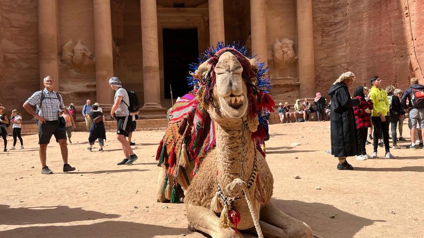 Bitte lächeln: Vor dem Schatzhaus in Petra bringt sich ein herausgeputztes Kamel in Position. Die spannende Reisereportage zu dieser Bildergalerie lesen sie hier auf unserem Premium-Portal nn.de
