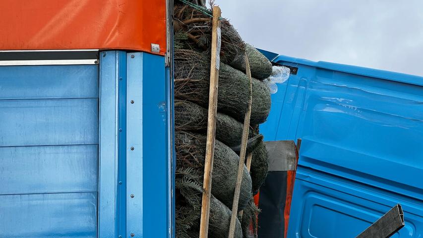 Der Lkw hatte rund zwölf bis 14 Tonnen Christbäume geladen. Klassisch verpackt in die weißen Netze. Die Polizei geht davon aus, dass die Bäume aber auch weiterhin verwendet werden können.