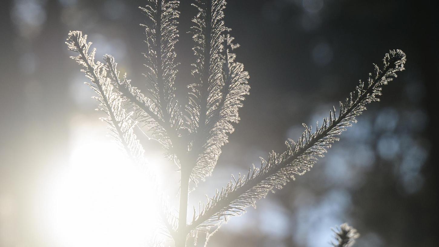 Sonne und Frost: So könnte es in den kommenden Tagen in Bayern aussehen.