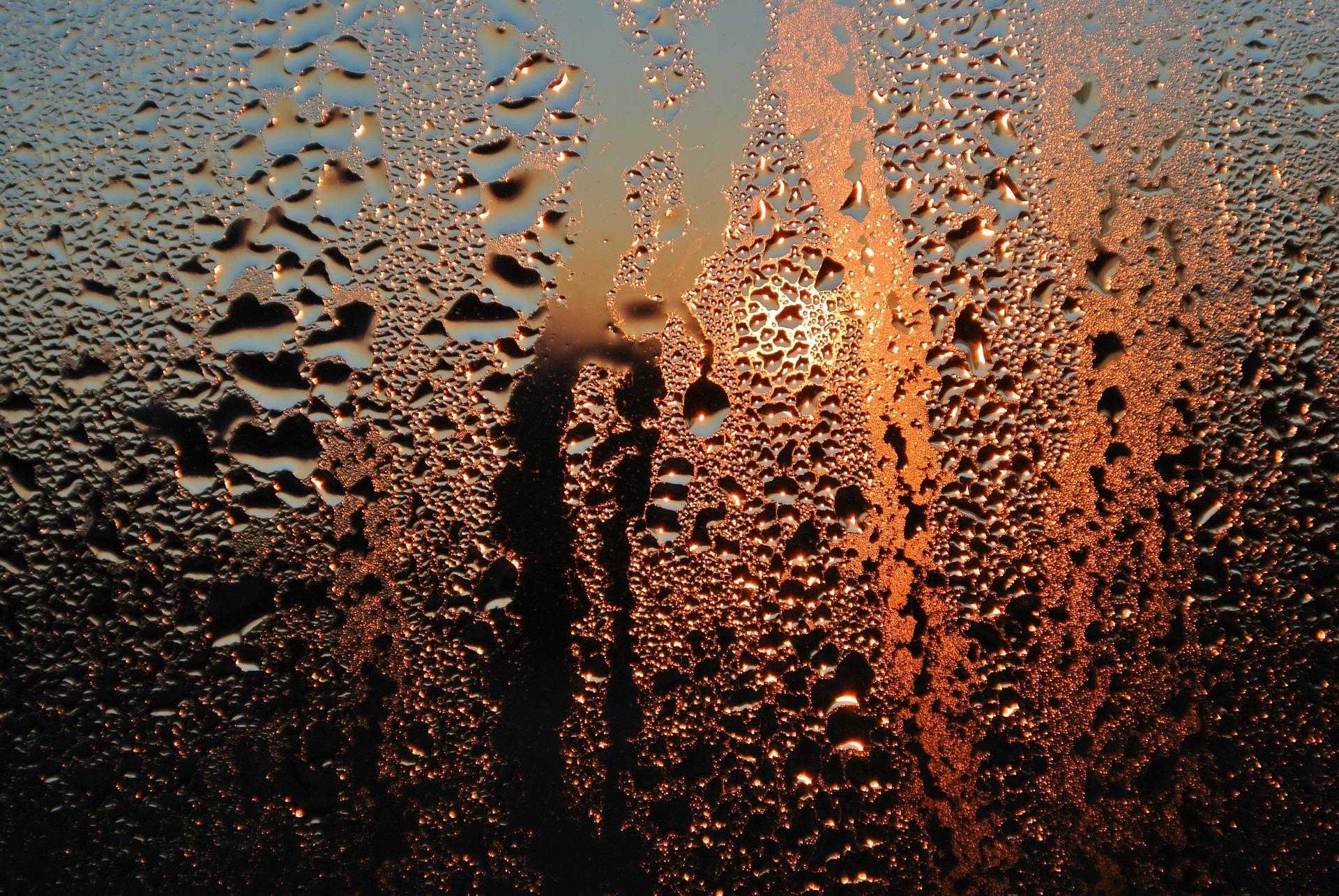 Kondenswasser an Fensterscheiben 7 Tipps, die wirklich helfen