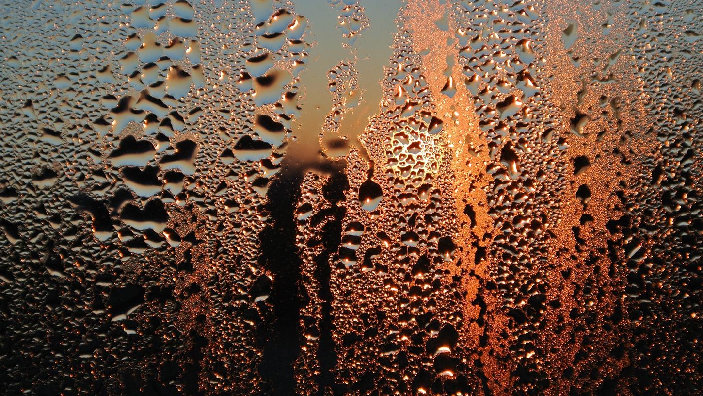 Kondenswasser an Fensterscheiben: 7 Tipps, die wirklich helfen