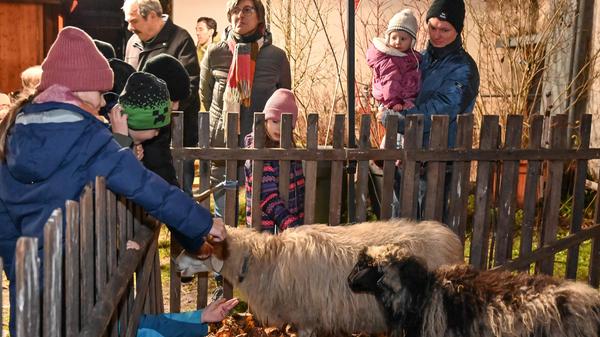 Es gab eine Kinderweihnacht im Hof vom "Schwarzen Ross" samt kleinem Streichelzoo und Theater der "Hilpoltsteiner Spielkiste" ("Kasperl fährt zum Mond"),...