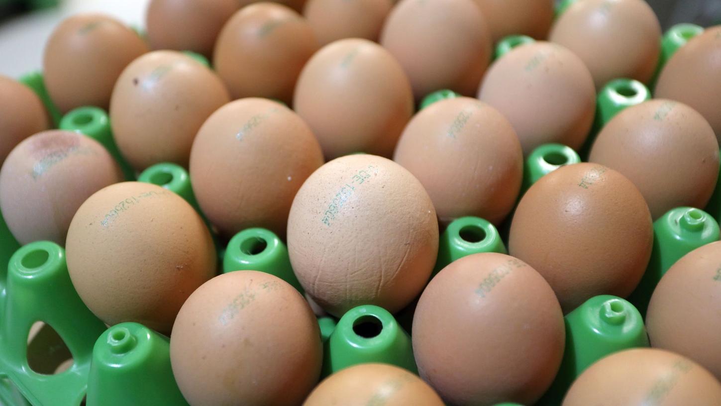 Vor Weihnachten dürften nach Einschätzung der Erzeuger vor allem die preisgünstigen Eier aus Bodenhaltung teurer werden.