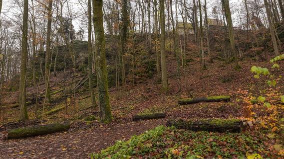 Ungewöhnliche letzte Ruhestätte im Wald: Die Friedleite in der Fränkischen Schweiz