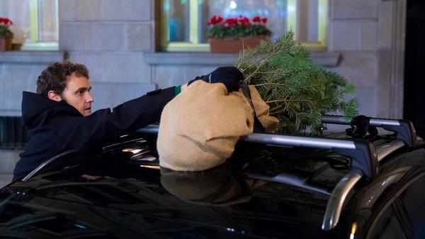 Weihnachtsbaum-Transport