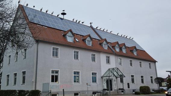 Seltenes Naturschauspiel in Franken: Hier sitzen 25 (!) Störche auf einem Dach