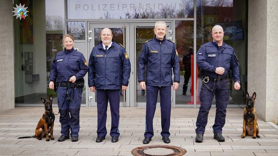 Helfer auf vier Pfoten: So werden die Diensthunde der Polizei Oberpfalz ausgebildet