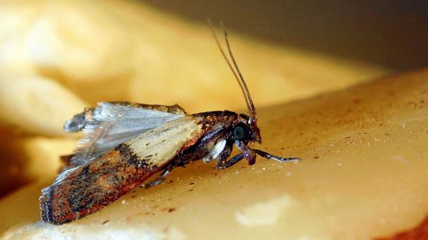 imago images 51923937