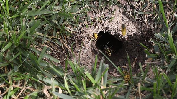 imago images 104710000