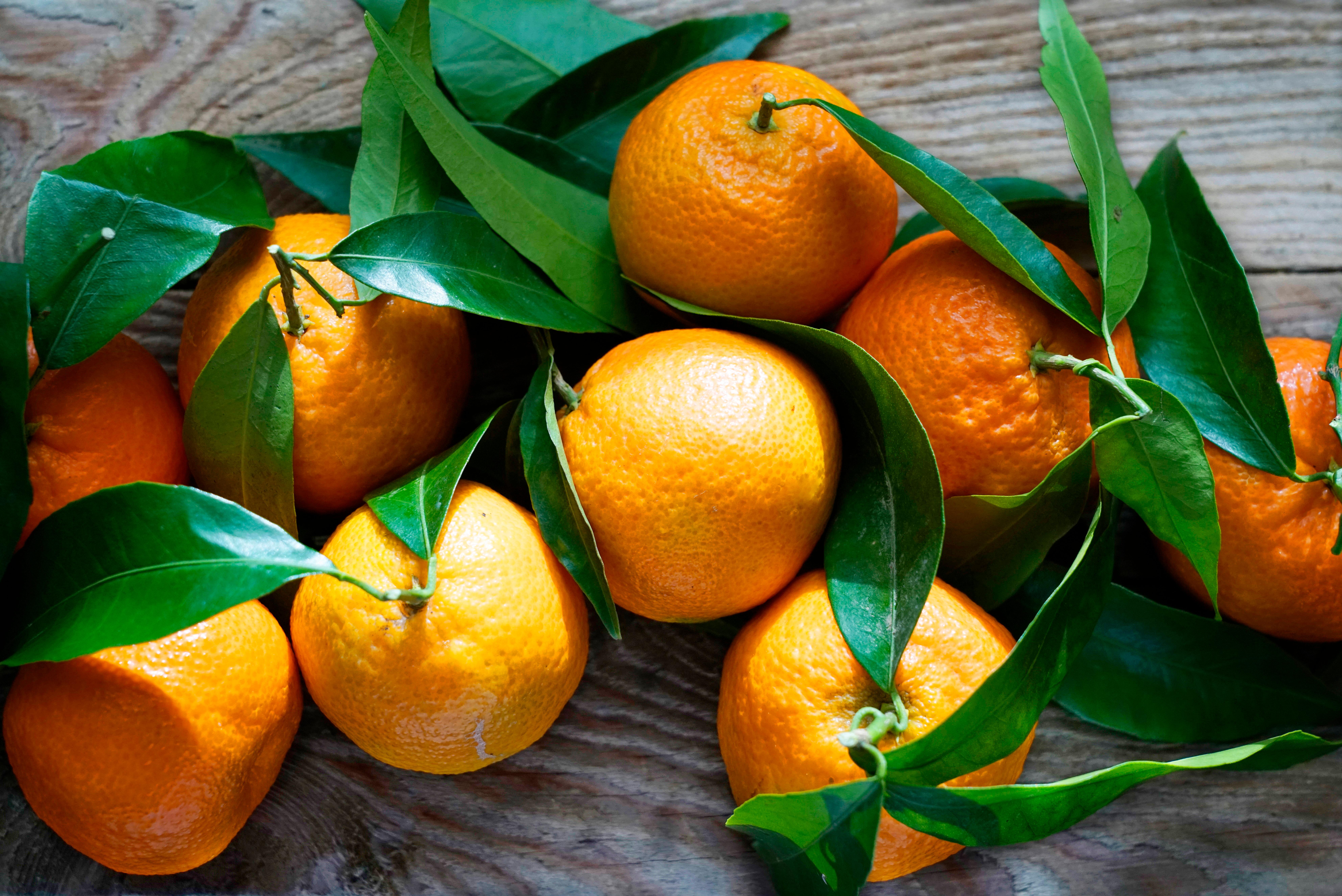 imago images 161288085