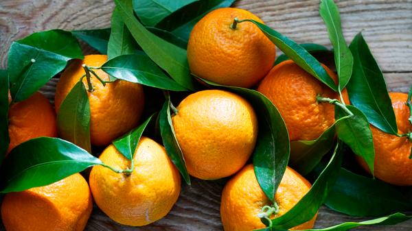 imago images 161288085